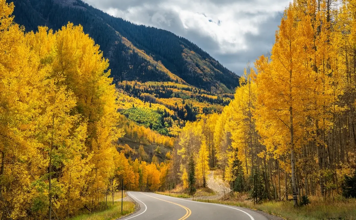 aspen-co-fall-colors