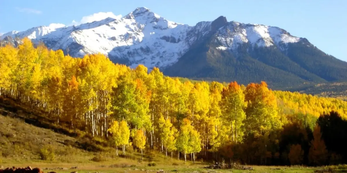 aspen-colorado-fall-colors