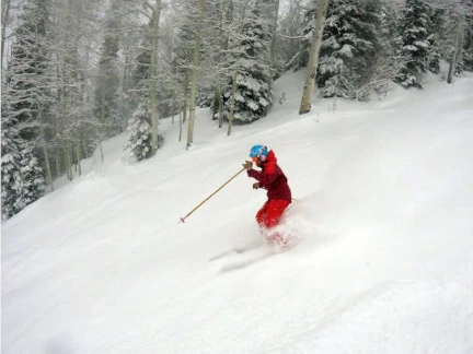 A skier in a red outfit and blue helmet gracefully slices through the snow on a ski run, leaving a powdery trail behind them as they glide down the tree-lined slope on a cloudy day.